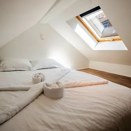 Litchi Lovely Loft With Ac Rue Du Paquier